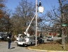 Fiber install